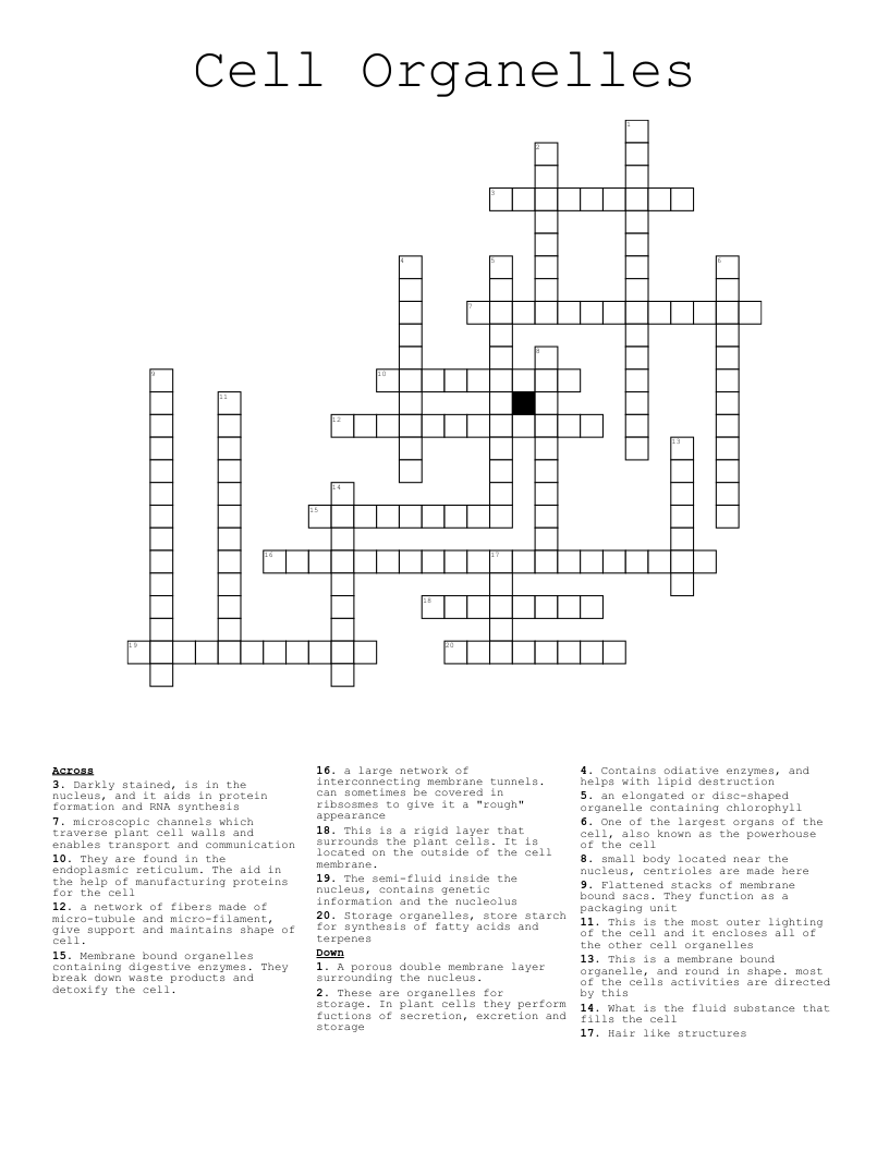 Cell Organelles  Crossword