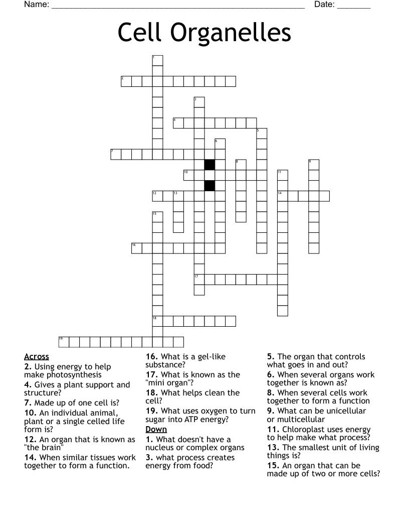 Cell Organelles  Crossword