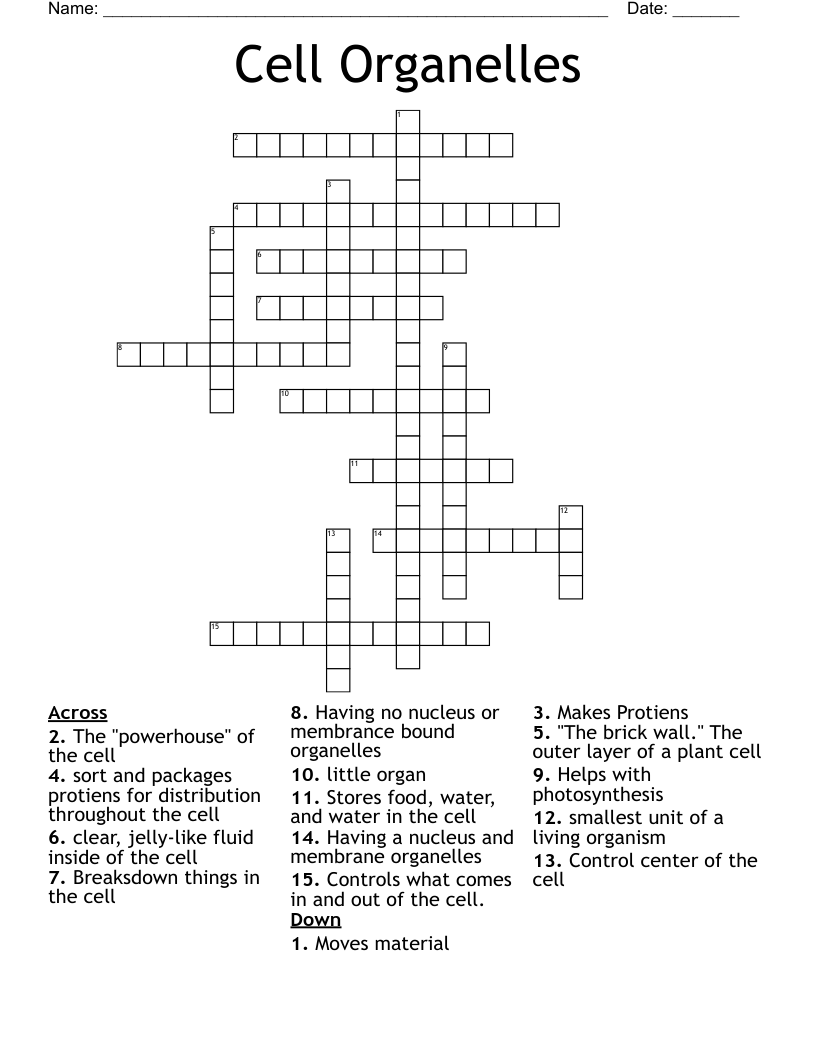 Cell Organelles  Crossword