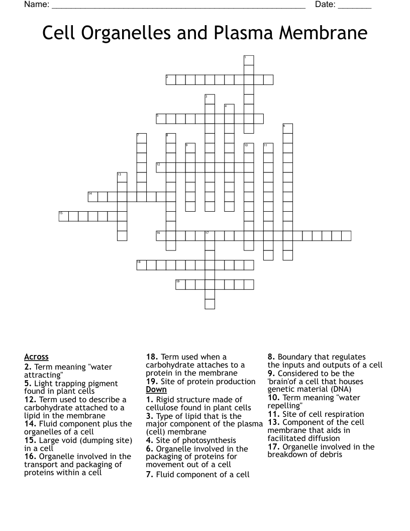 Cell Organelles and Plasma Membrane Crossword