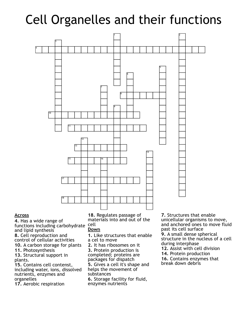 Cell Organelles and their functions Crossword