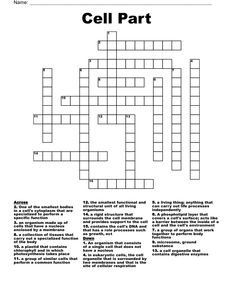 Cell Part  Crossword