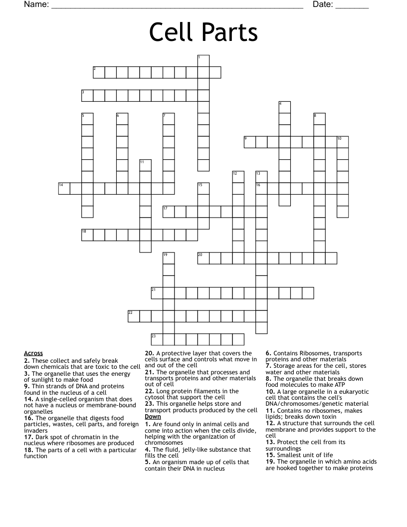 Cell Parts Crossword