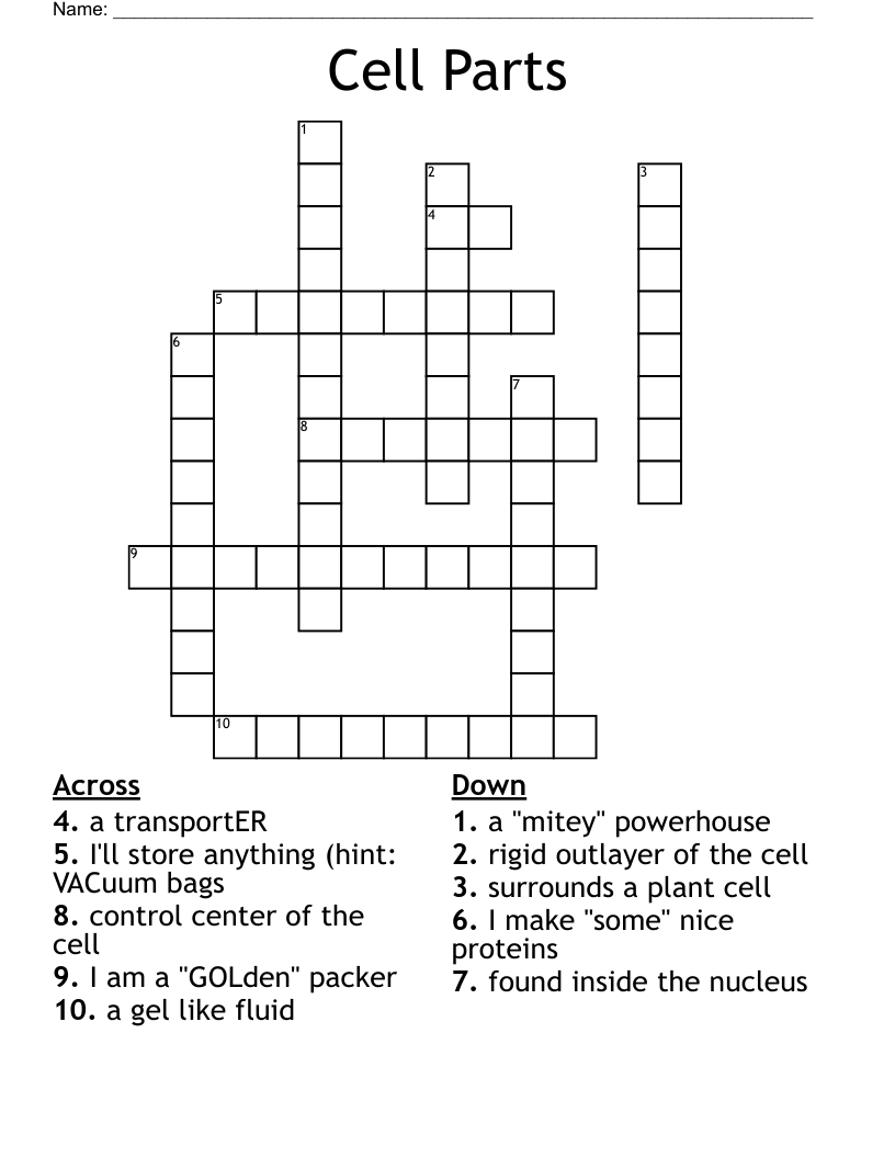 Cell Parts Crossword