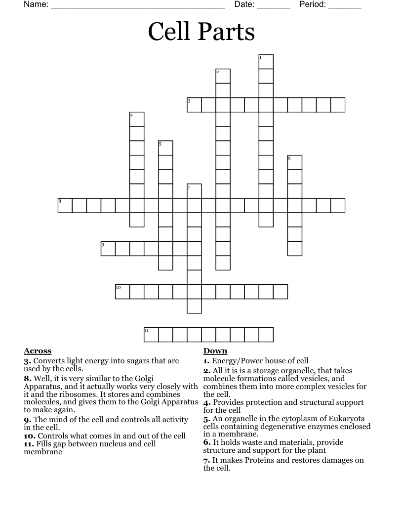 Cell Parts Crossword
