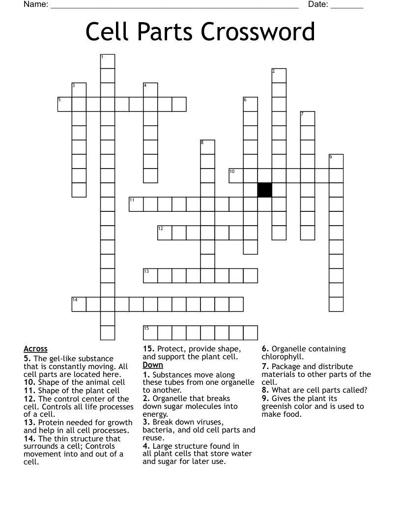 Cell Parts Crossword