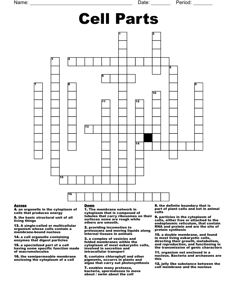Cell Parts  Crossword