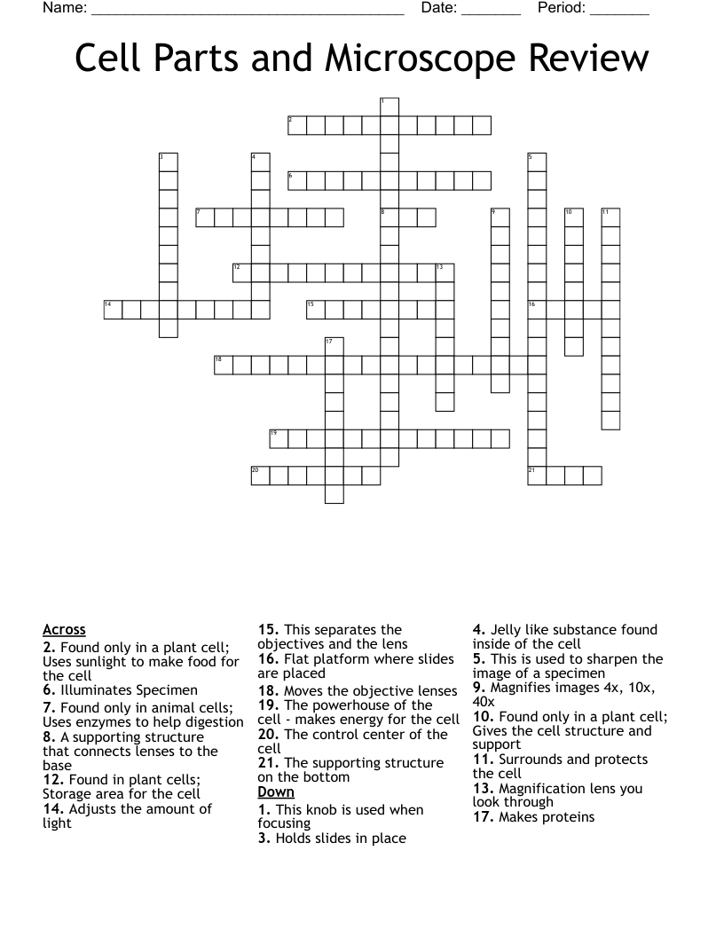 Cell Parts and Microscope Review Crossword