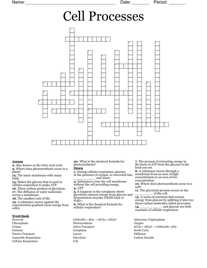 Cell Processes Crossword