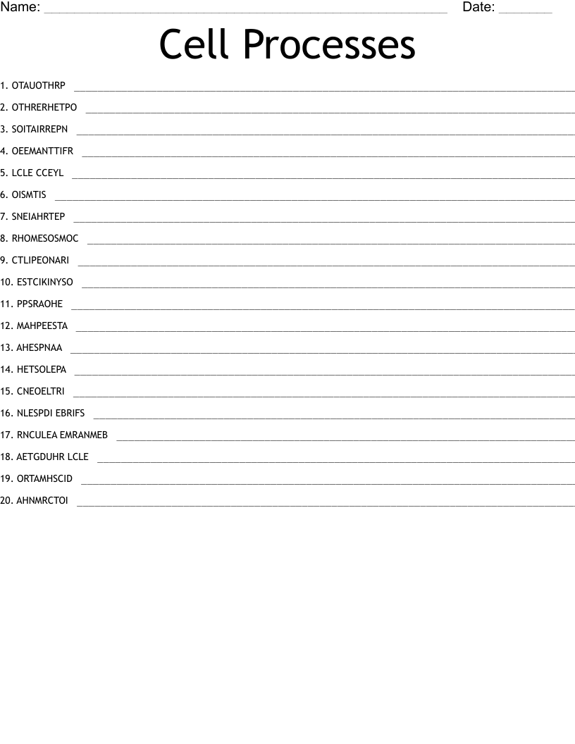 Cell Processes Word Scramble