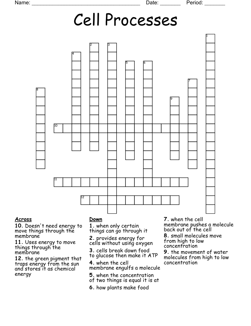 Cell Processes Crossword