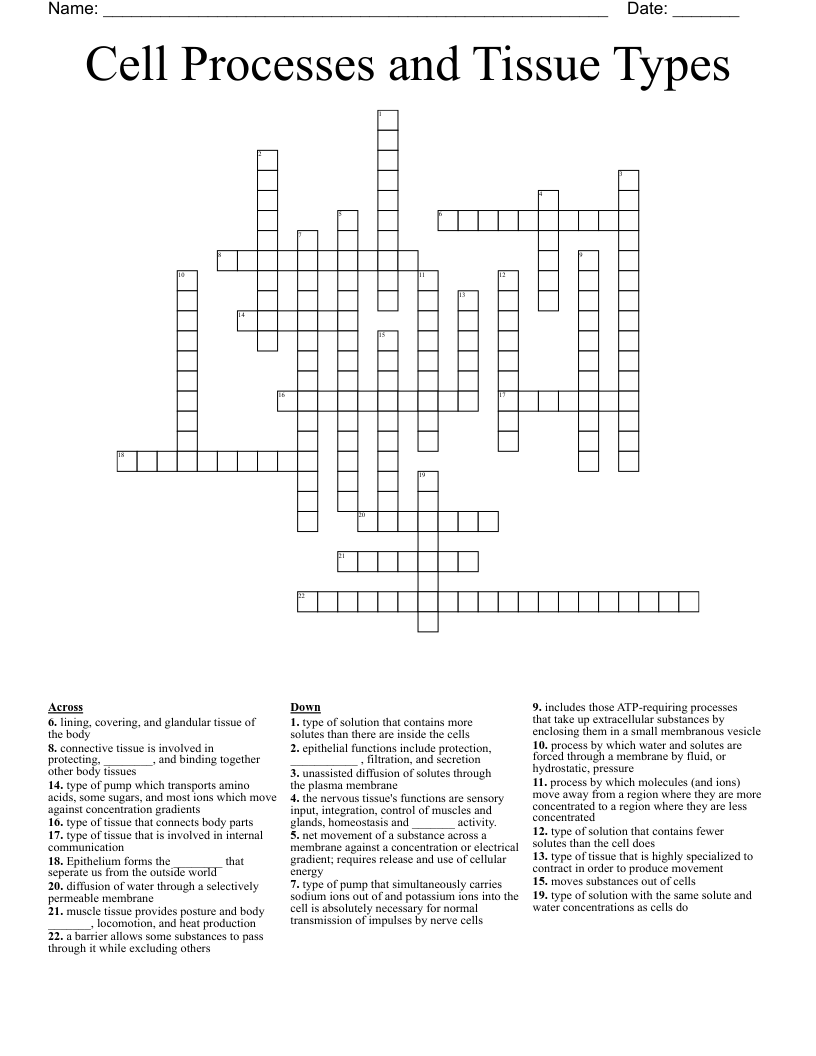 Cell Processes and Tissue Types Crossword