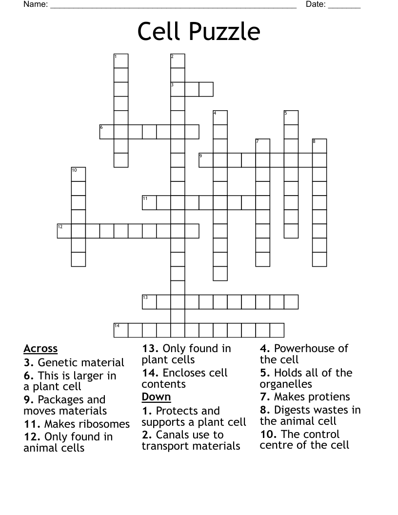 Cell Puzzle Crossword