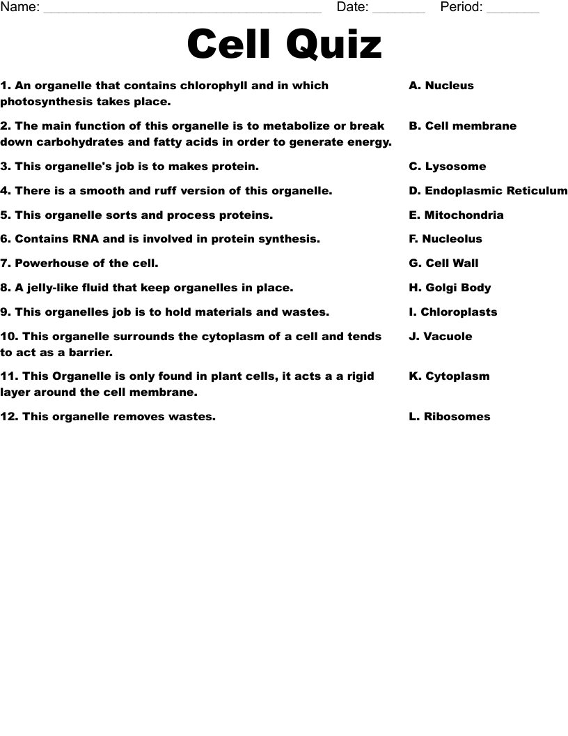 Cell Quiz  Worksheet