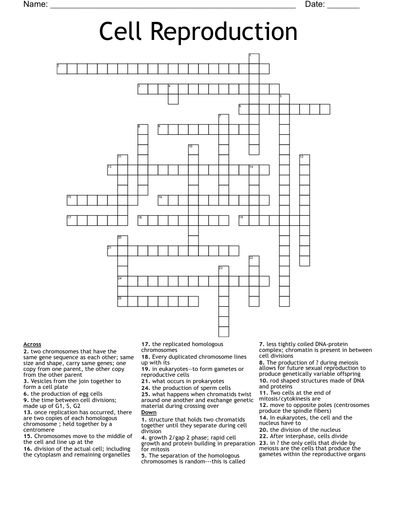 Cell Reproduction Crossword