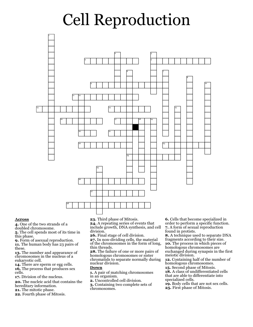 Cell Reproduction Crossword