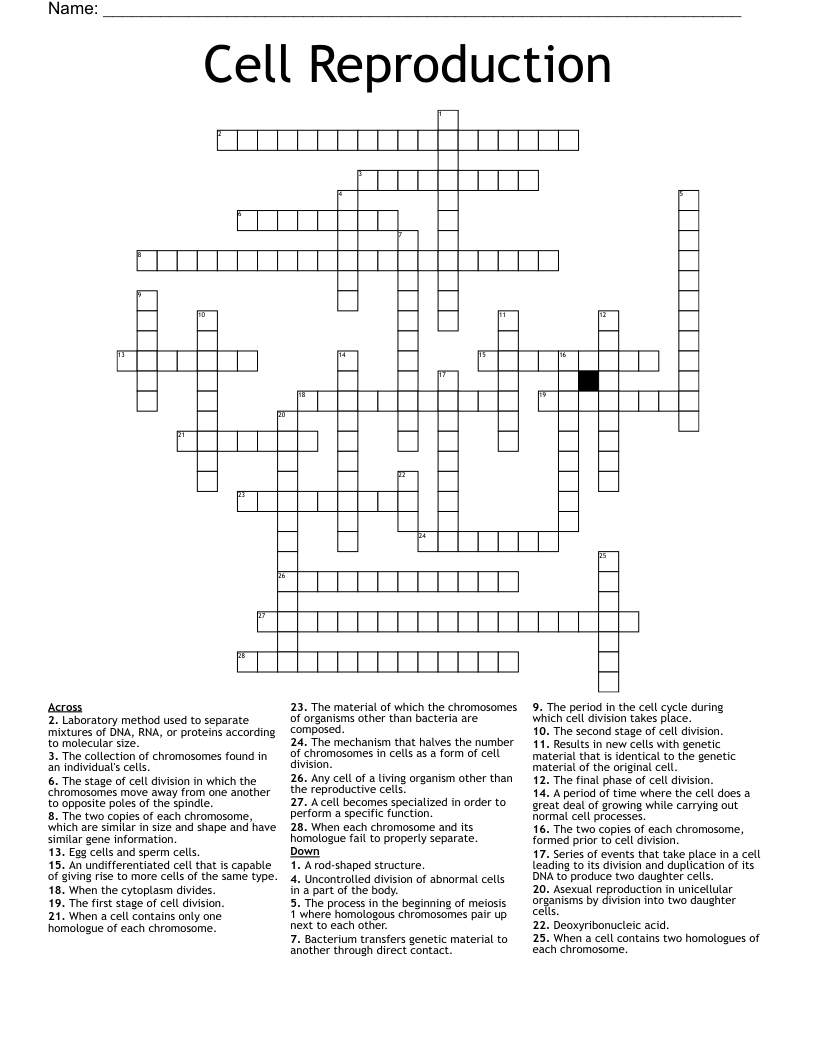 Cell Reproduction Crossword