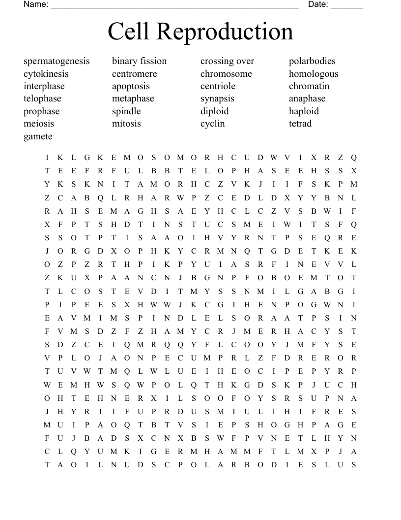 Cell Reproduction Word Search