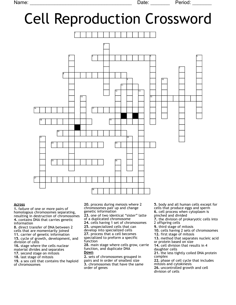 Cell Reproduction Crossword