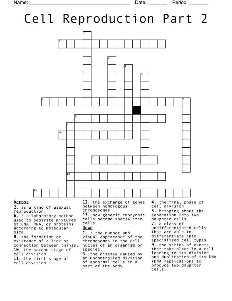 Cell Reproduction Part 2 Crossword
