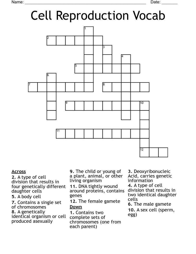 Cell Reproduction Vocab Crossword