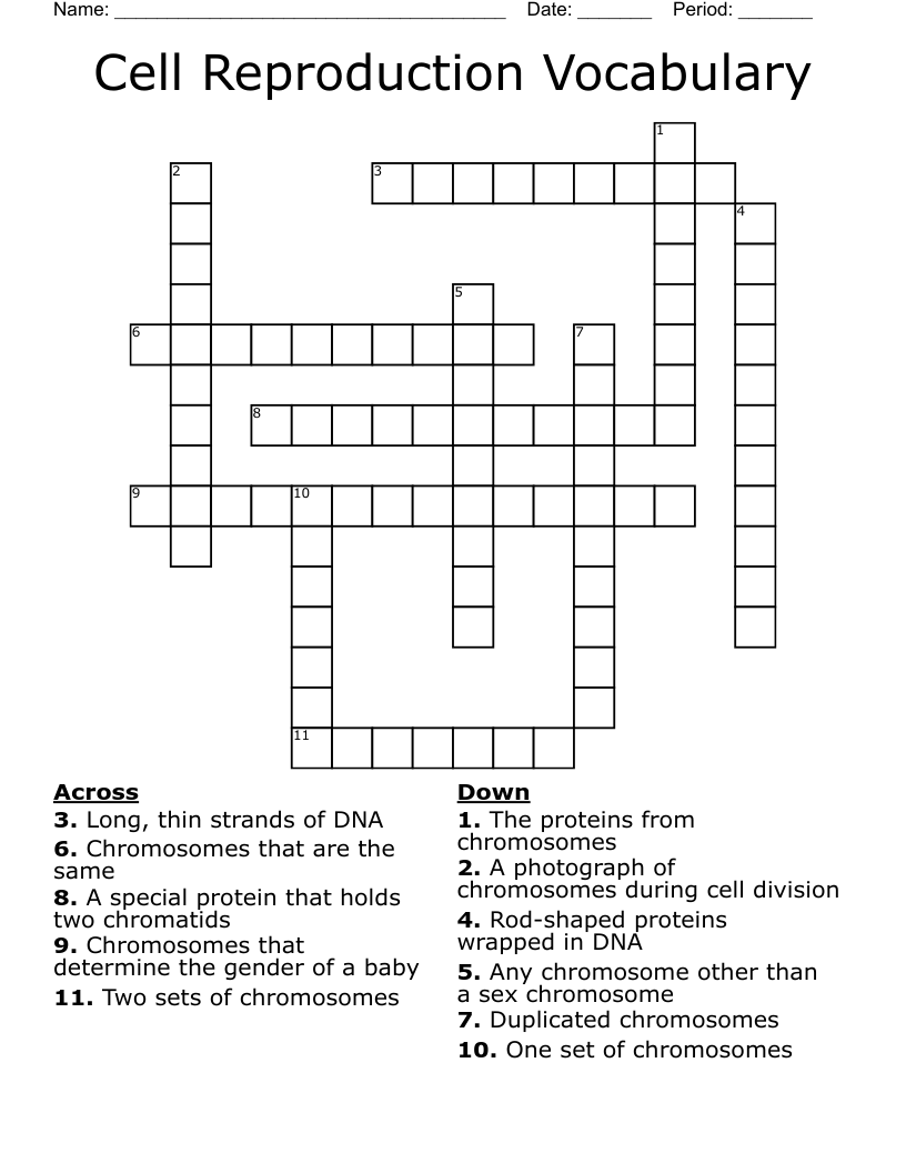 Cell Reproduction Vocabulary Crossword
