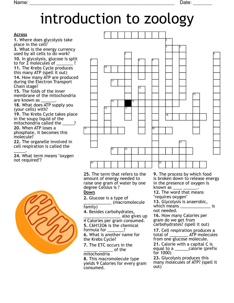 introduction to zoology Crossword