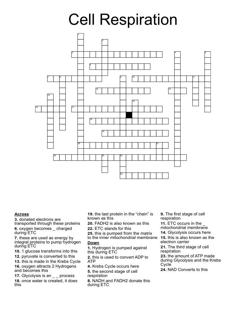 Cell Respiration  Crossword