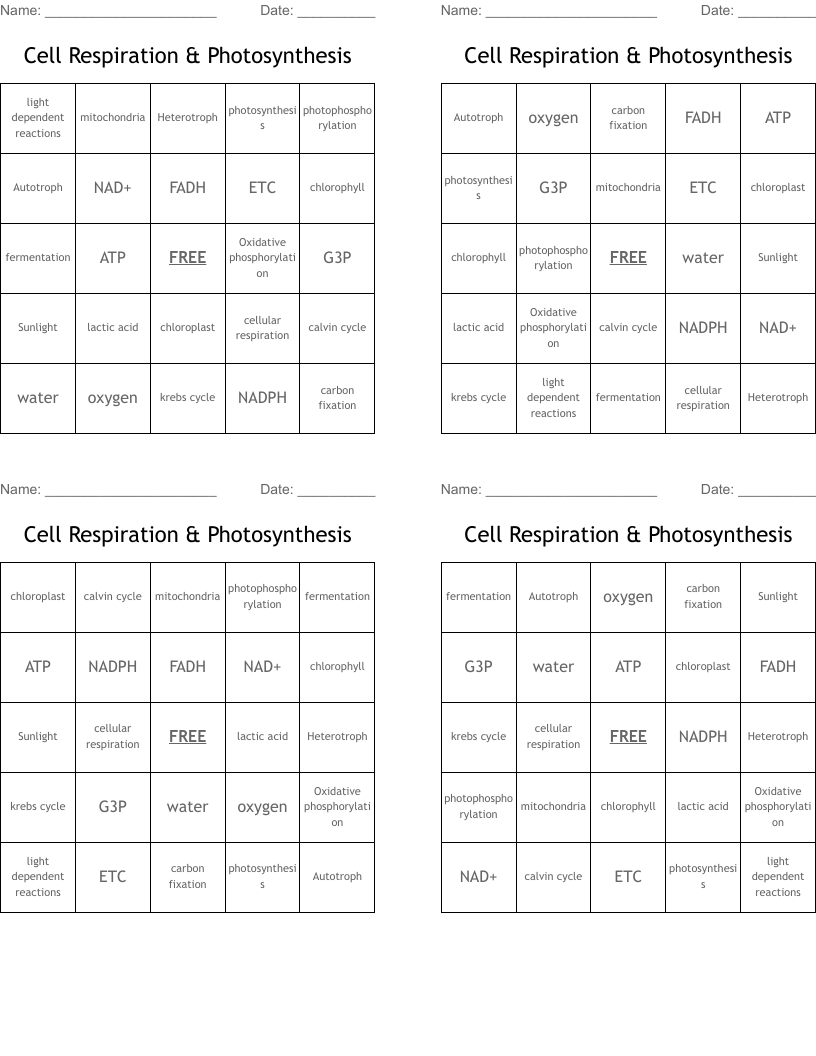 Cell Respiration & Photosynthesis Bingo Cards