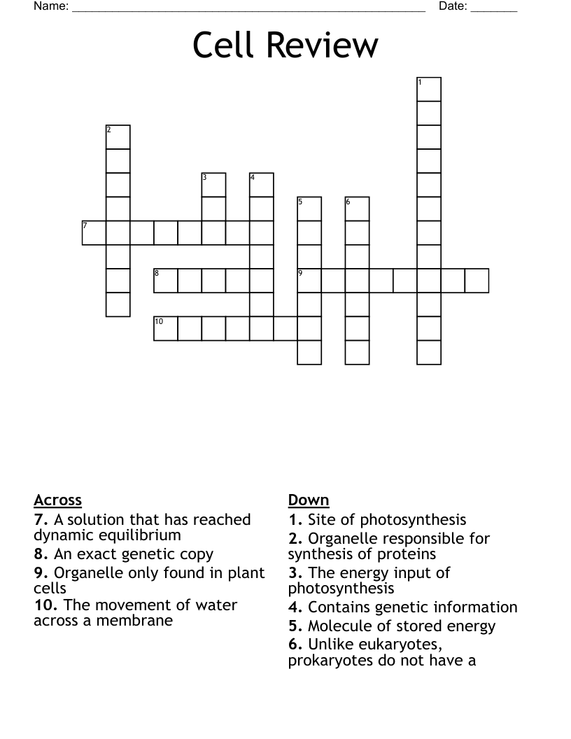 Cell Review Crossword