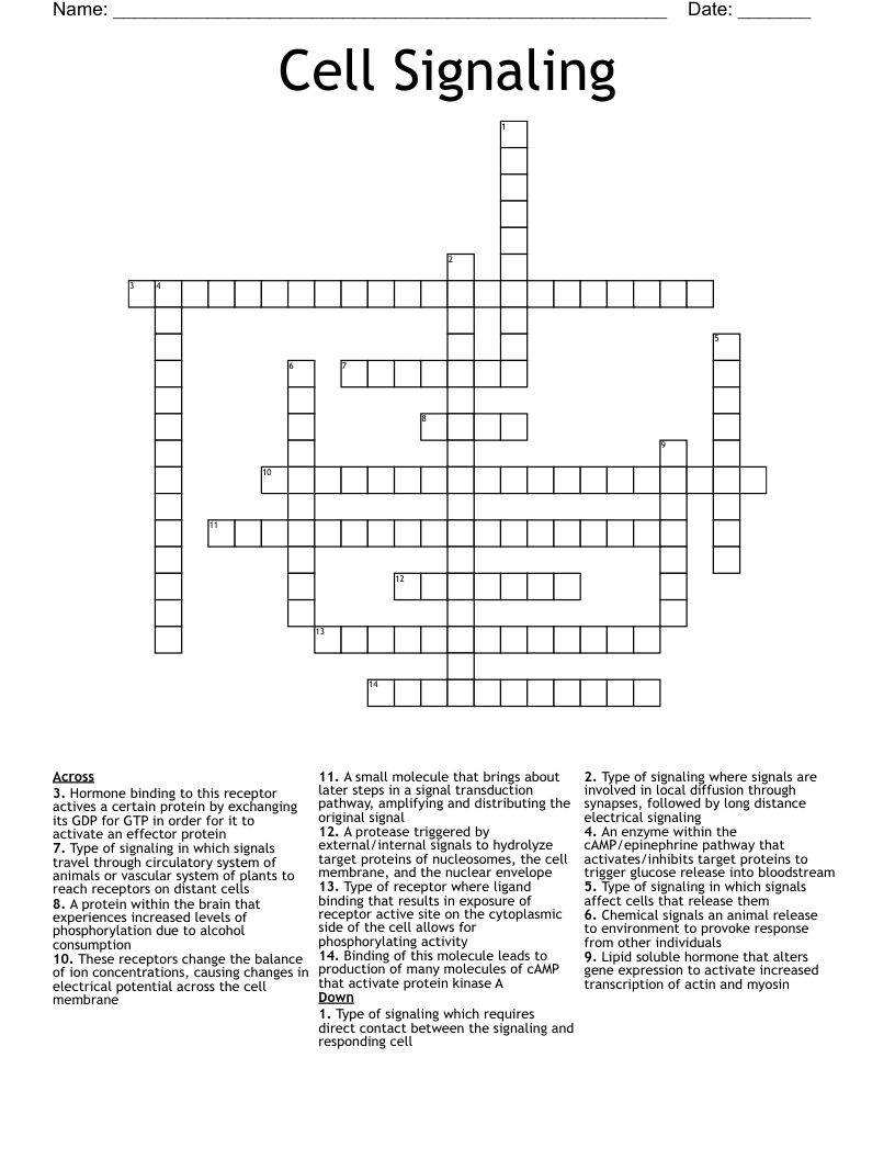 Cell Signaling Crossword
