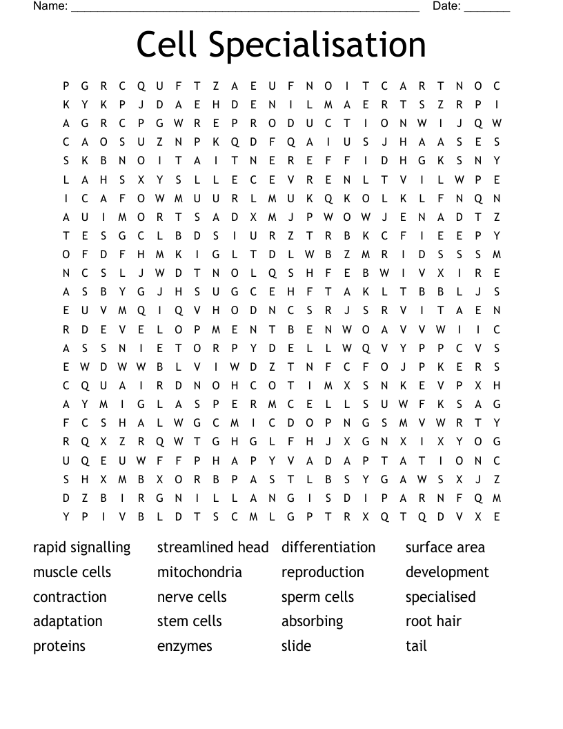 Cell Specialisation Word Search