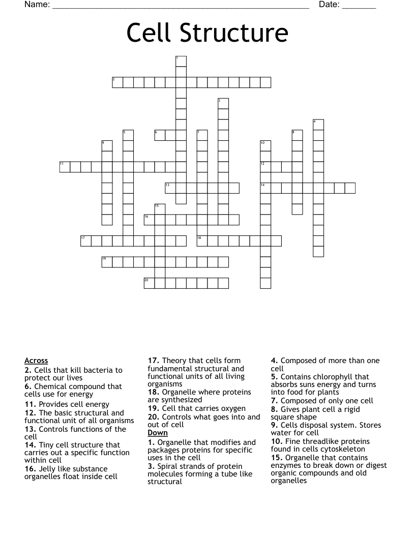 Cell Structure Crossword