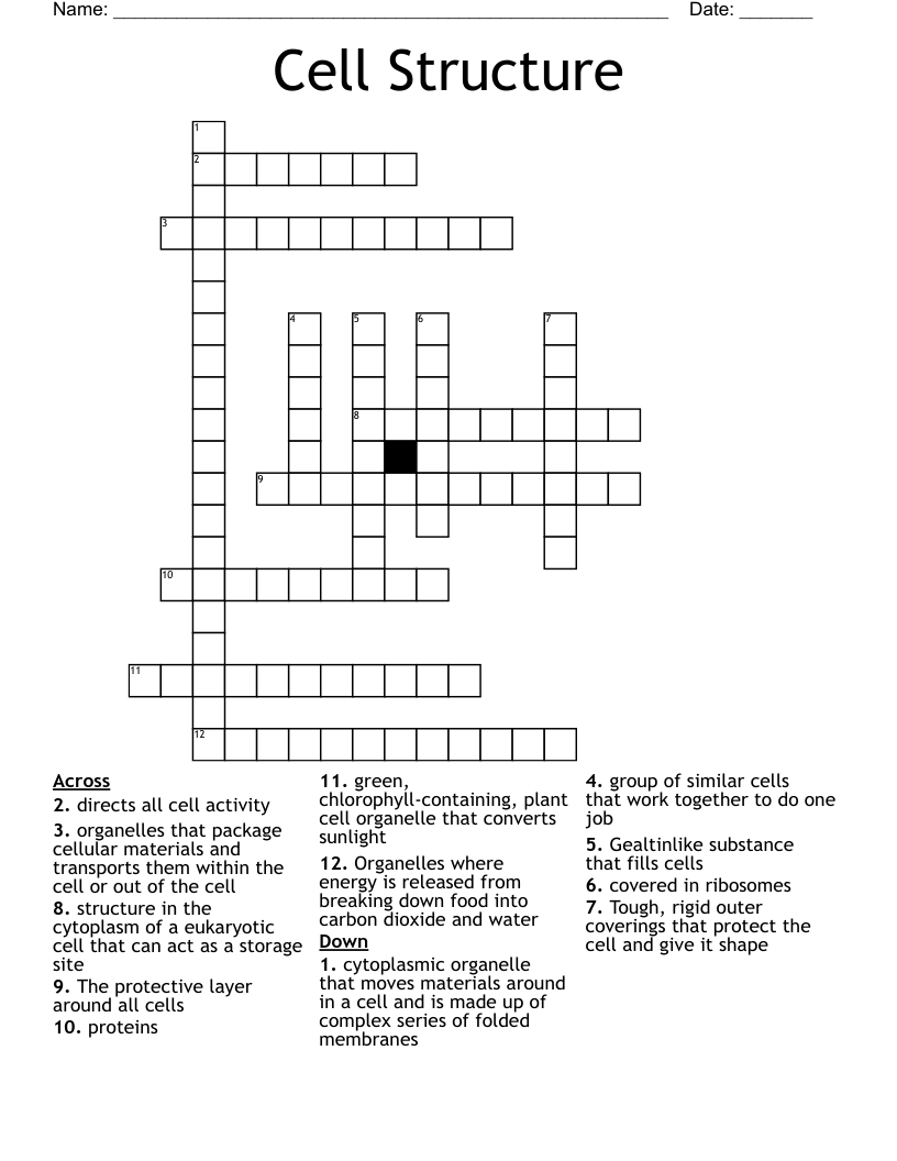 Cell Structure Crossword