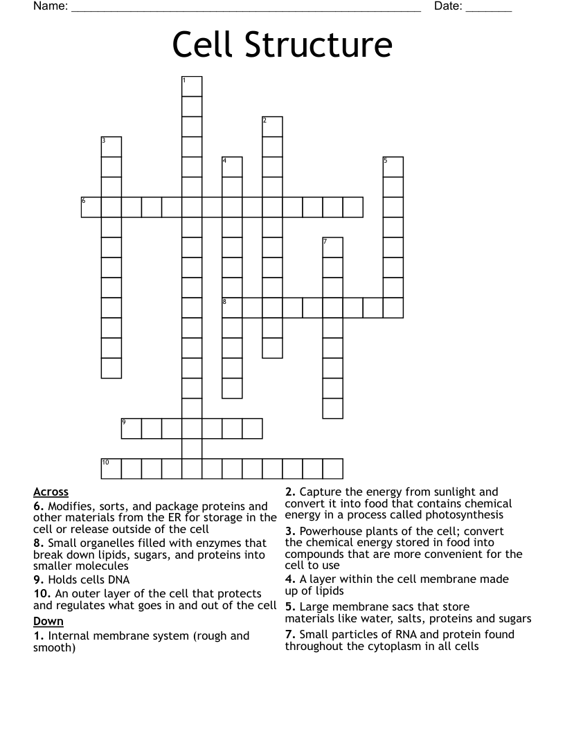 Cell Structure Crossword