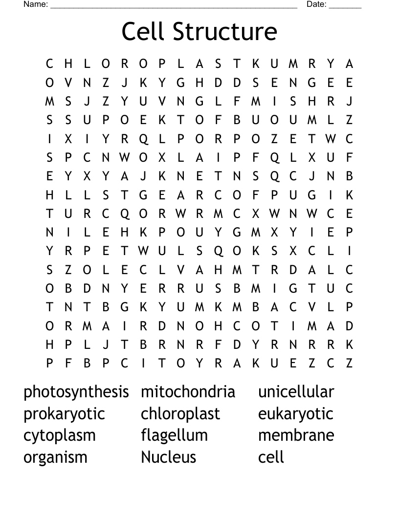 Cell Structure Word Search