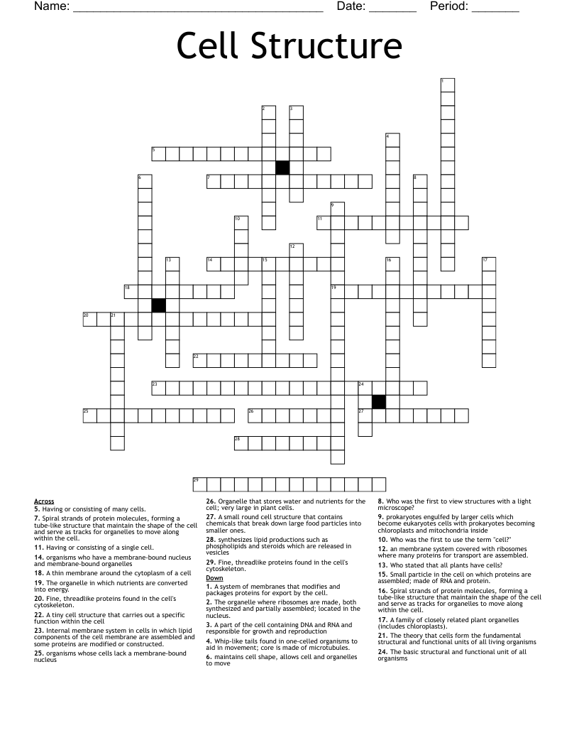 Cell Structure Crossword