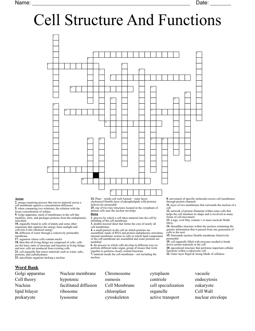 Cell Structure And Functions  Crossword