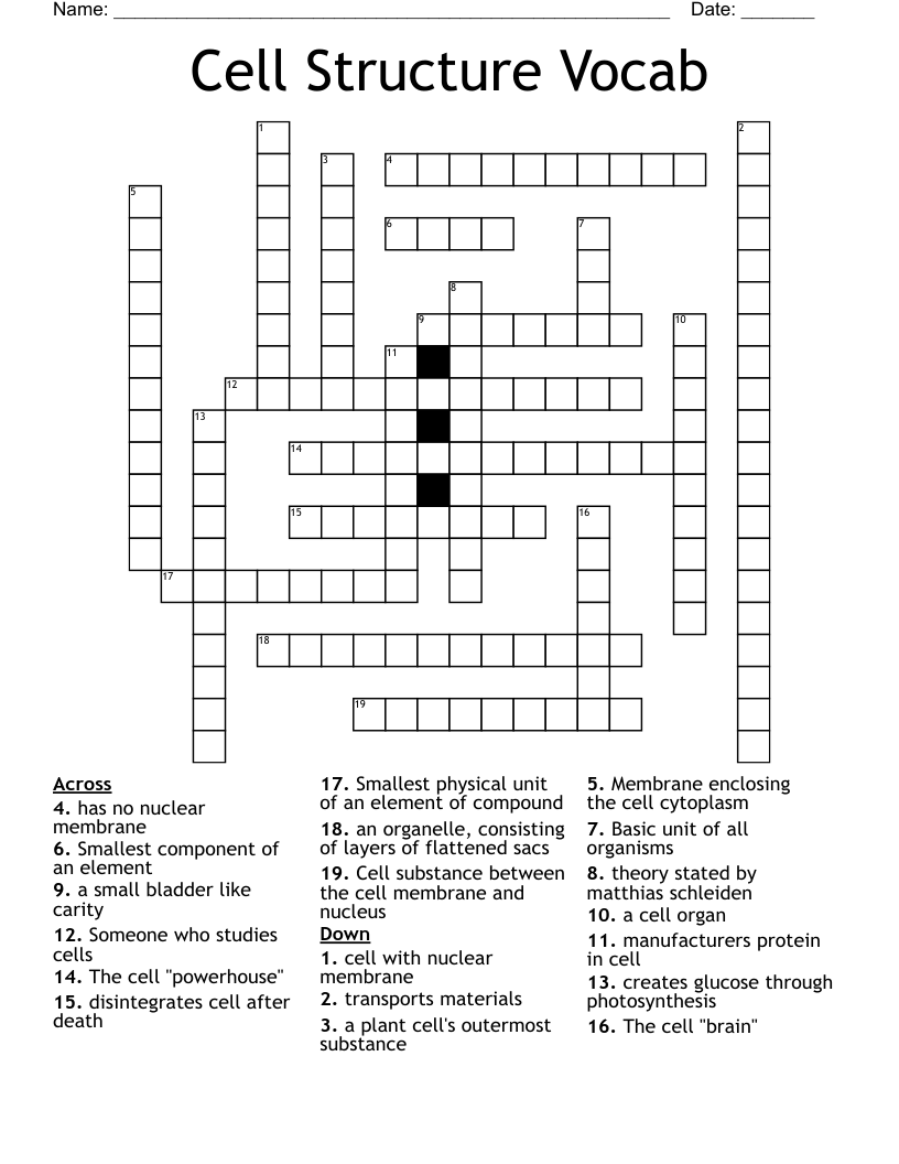 Cell Structure Vocab Crossword
