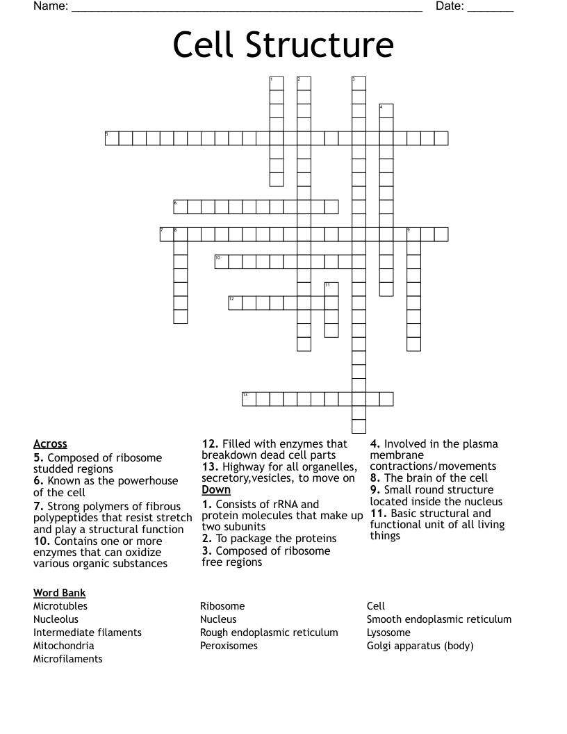 Cell Structure  Crossword