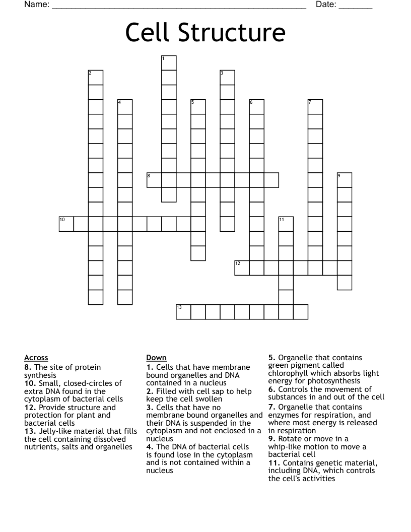 Cell Structure  Crossword