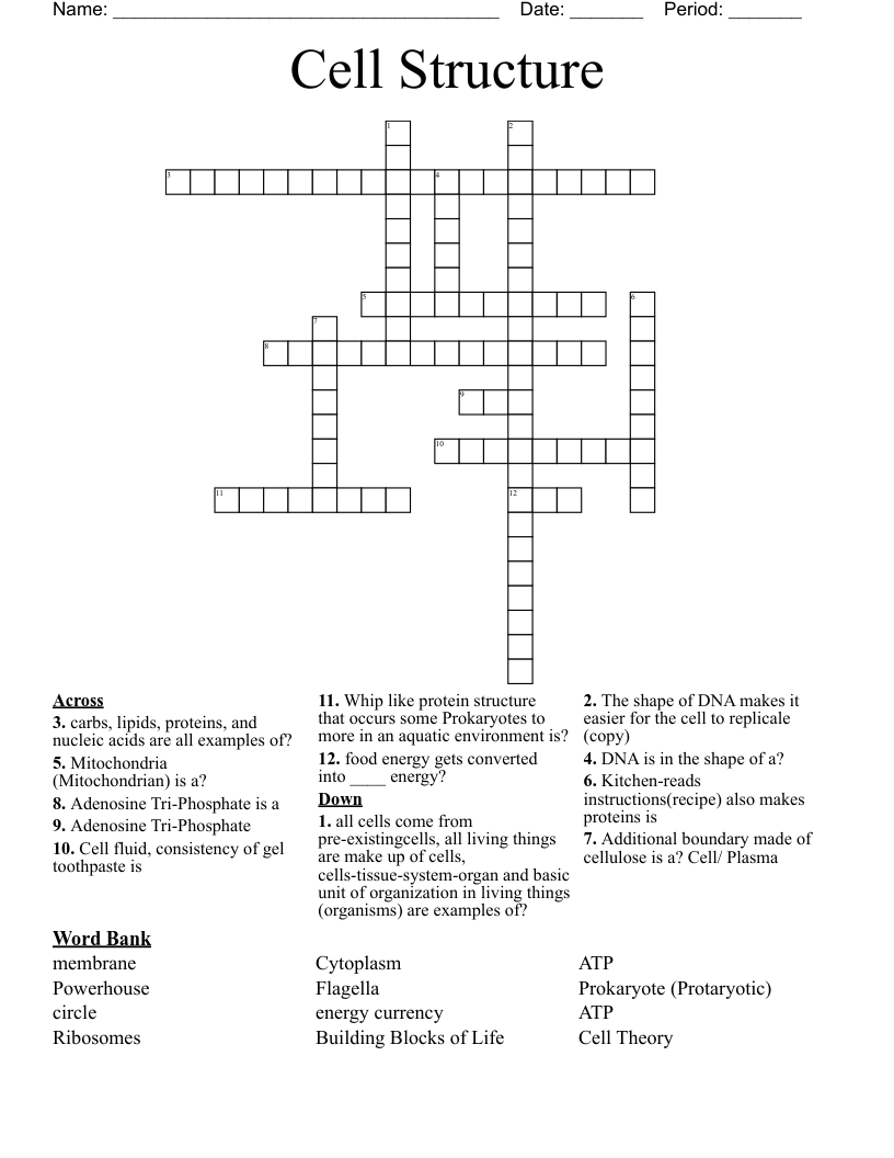 Cell Structure  Crossword