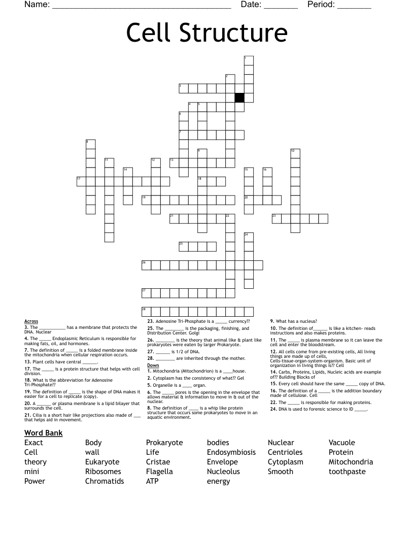Cell Structure  Crossword