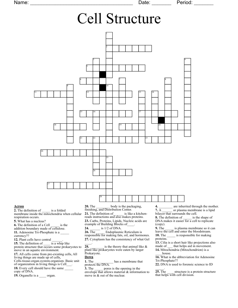 Cell Structure  Crossword