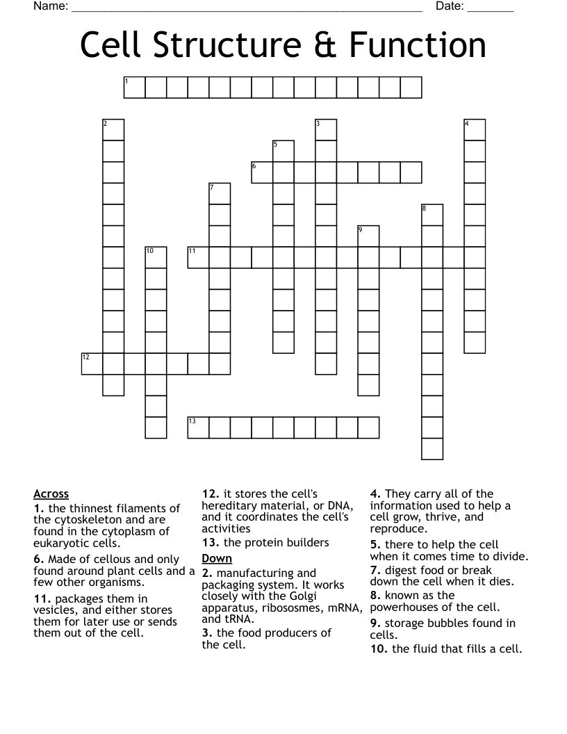 Cell Structure & Function Crossword