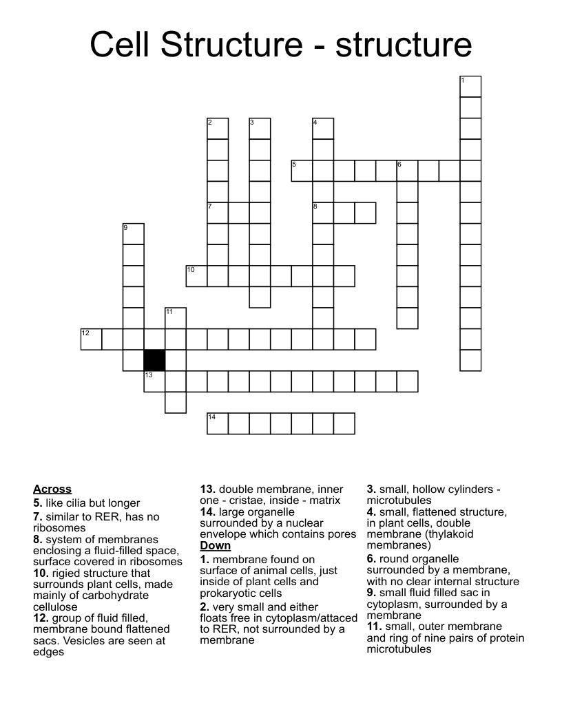 Cell Structure - structure Crossword