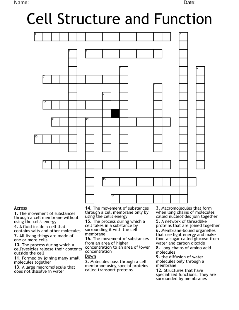 Cell Structure and Function Crossword