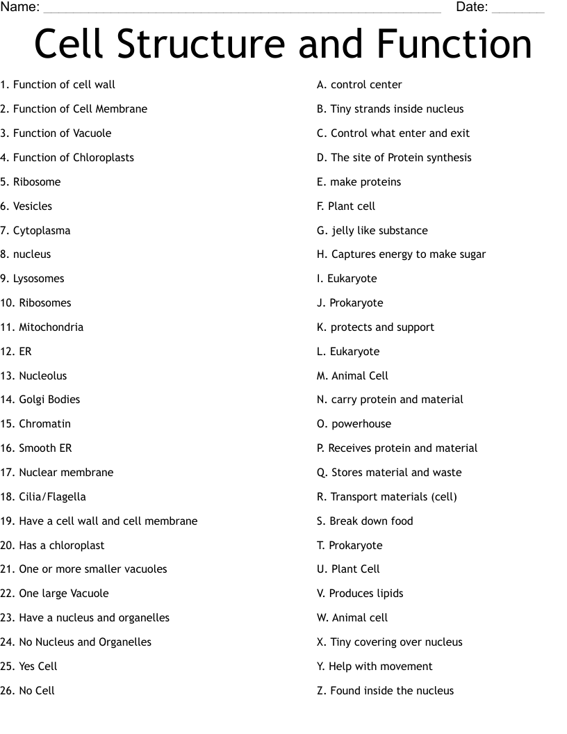 Cell Structure and Function Worksheet