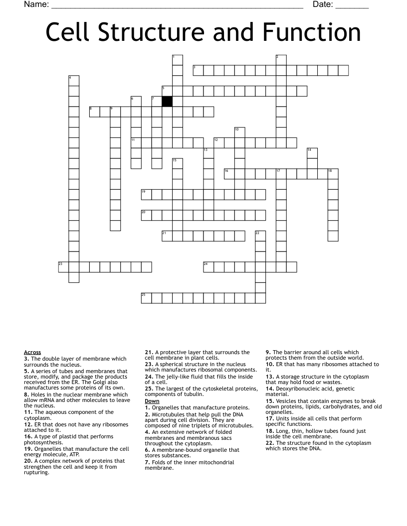 Cell Structure and Function Crossword