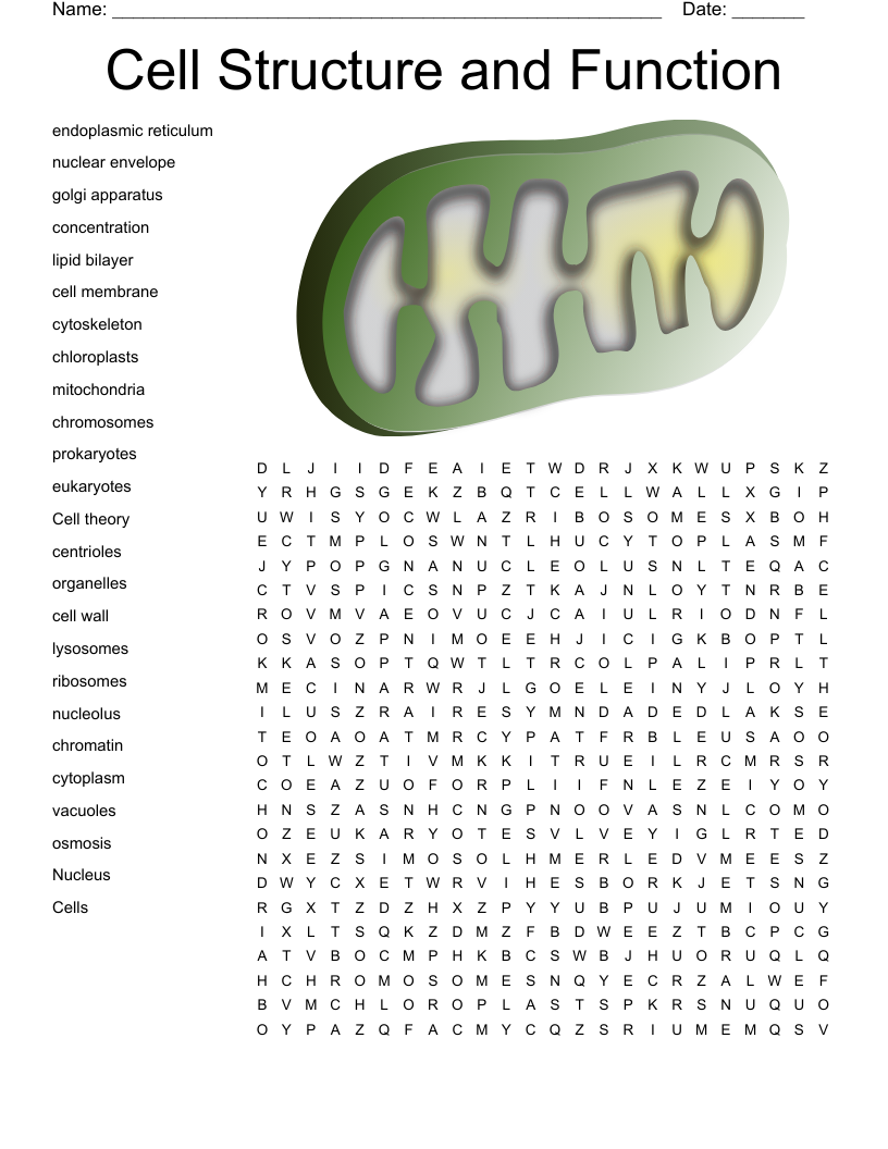 Cell Structure and Function Word Search